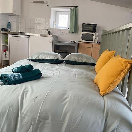 Face Au Canal Du Midi Apartman Carcassone Kültér fotó