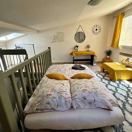Face Au Canal Du Midi Apartman Carcassone Kültér fotó